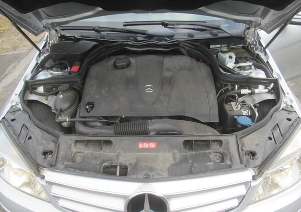 Mercedes-Benz Klasa C cena 15900 przebieg: 272000, rok produkcji 2009 z Sieraków małe 211